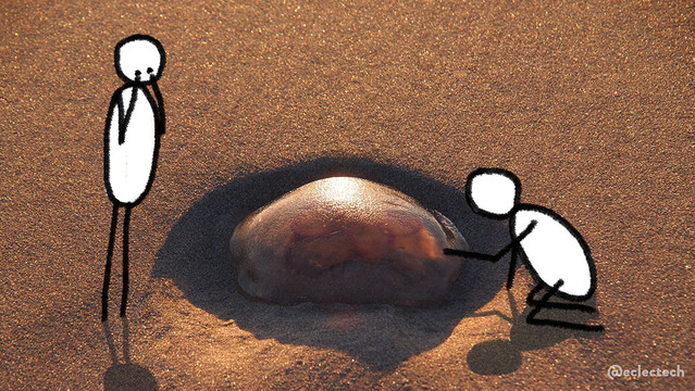 A photo of a smooth, wet, sandy, beach.  In the centre there is a smooth translucent dome, in its own sheltered and shadowed indentation in the sand. The sun is highlighting the top. It looks weird and alien. There are two simple drawn characters, one either side. The one on the right is kneeling down, about to gently poke it. The one on the left stands, eyes partly covered. 

I'm basically channeling my childhood discomfort when finding dead jellyfish on the beach in this one. Love a jellyfish, but not like this. Also find them visually intriguing, which does include this one. For the record I have never poked one.