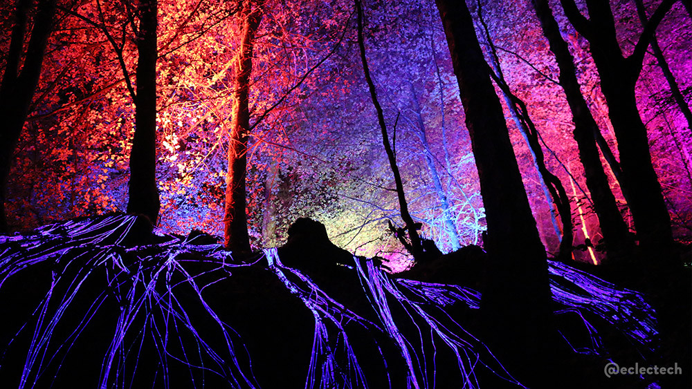 A photo of the Synapse Grove at the 2025 Enchanted Forest. There is a dark slope with a root like set of lights covering it, and behind the silhouettes of tall tree trunks the leafy branches are highlighted in reds, pinks and purples.