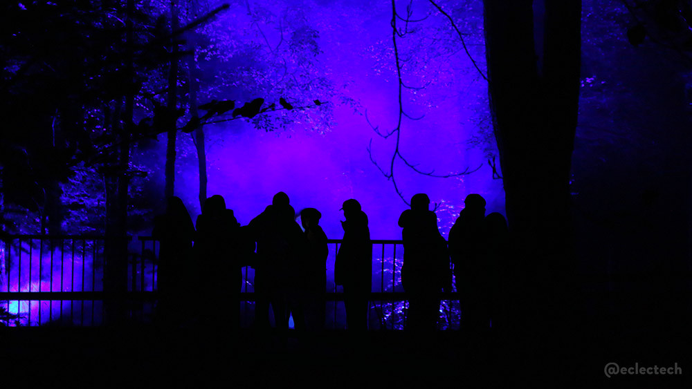 A platform with a group of silhouetted people with big trees either side, a slatted low fence behind them, and a deep purple glow in the forest beyond.