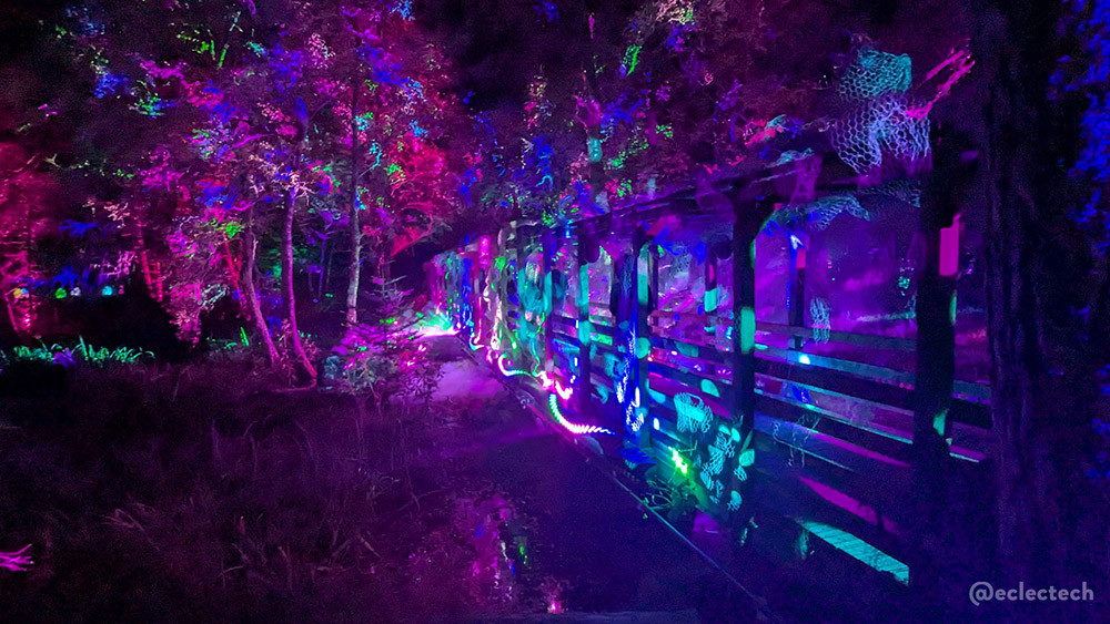 A photo down the exterior of a wooden slatted bridge surrounded by tall trees. The bridge and trees are lit up in pink and pale green lights.