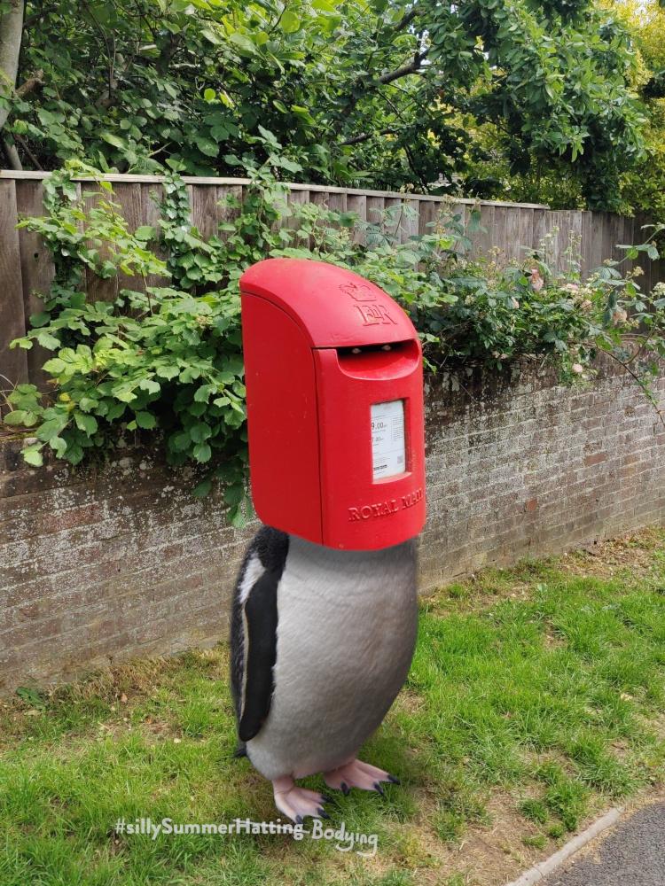 Original alt txt: A post box on the shape of a knight's hat. Or possibly the other way around.
My addition: The post on which the bright red post box stands has been swapped for a penguin's body. There are two orange penguin eyes staring out of the slot in the box, significantly above where the penguins head should be.
