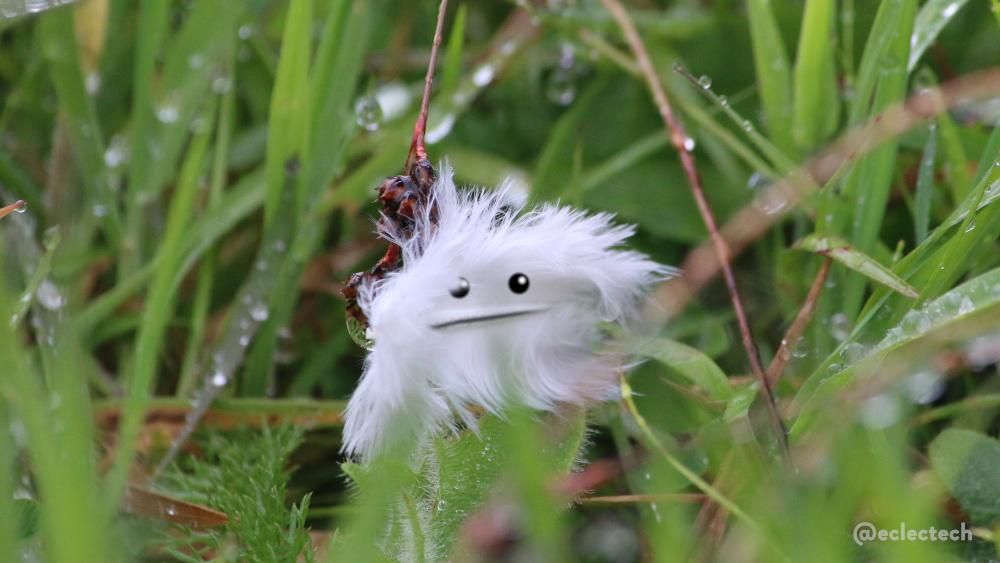 A photo of a fluffy white feather caught in an unkempt and wet lawn. It is on its side, and the spine has been turned into a flat mouth, with eyes added above.